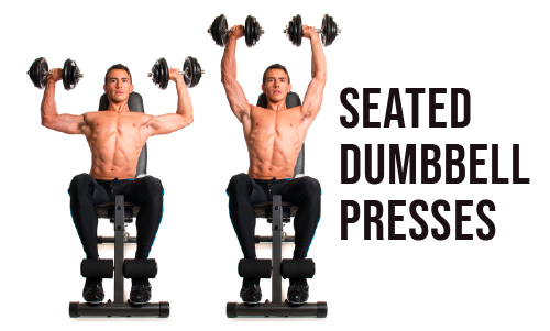 Seated Dumbbell Presses for Shoulder Dumbbell Workout