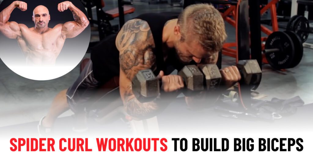Spider Curl Workouts to Build Big Biceps